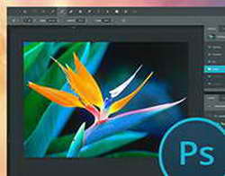 Выпуск VirtualBox 6.1.16