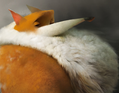Выпуск Tor Browser 10.0.12 и дистрибутив Tails 4.16