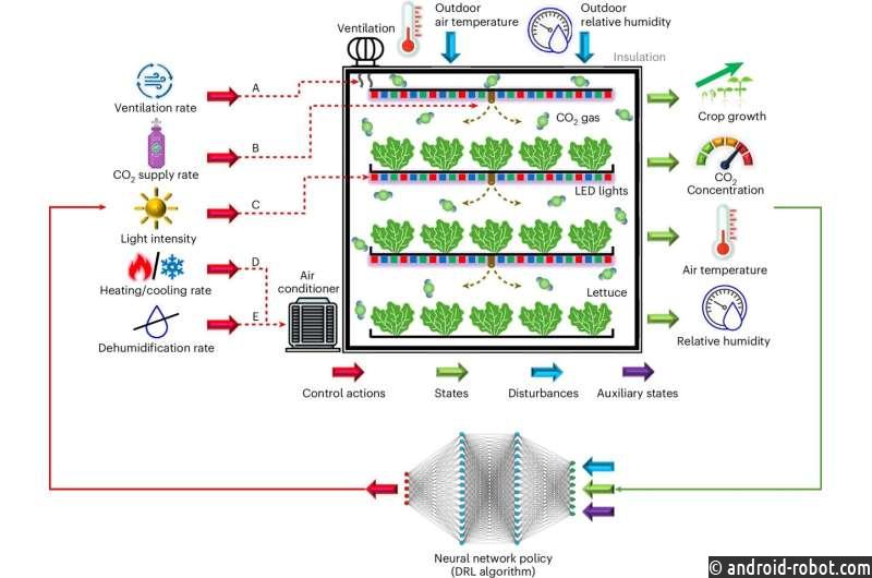 ИИ повышает энергетическую устойчивость производства продуктов питания в помещениях