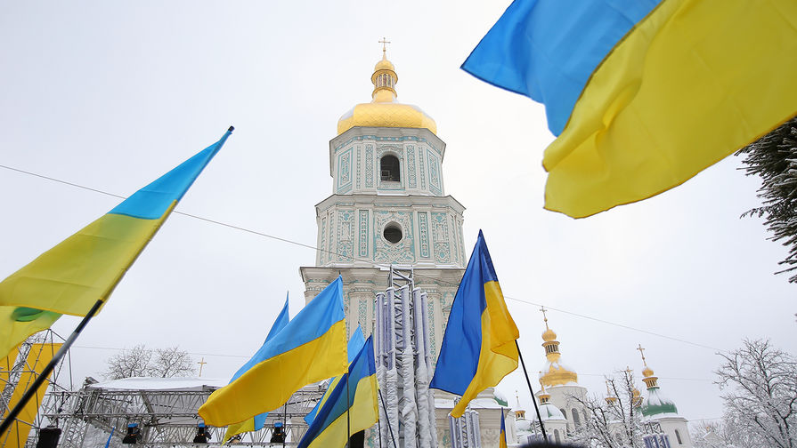 УПЦ: неизвестные выкорчевали многовековую липу возле Почаевской лавры